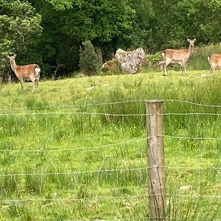Holiday home Eagles Killarney